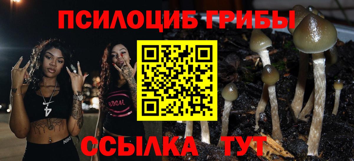 Псилоцибиновые грибы Psilocybe Трёхгорный